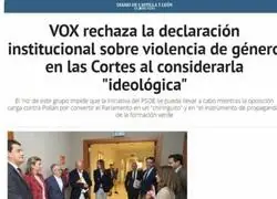 &iquest;Qu&eacute; pensar&aacute;n las mujeres que votaron a VOX?