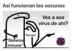 Explicaci&oacute;n de las vacunas