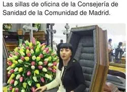 Bien c&oacute;modas para ir a visitar a San Pedro