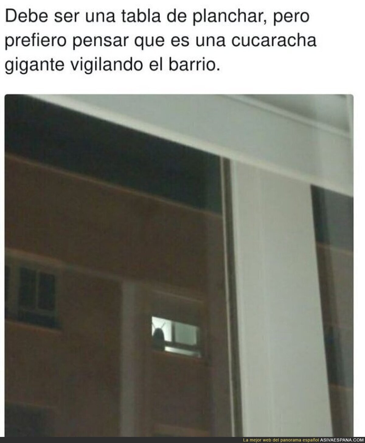 Cuidado con los vecinos