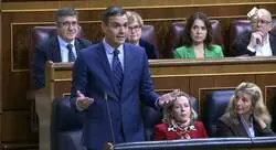 Pedro S&aacute;nchez: