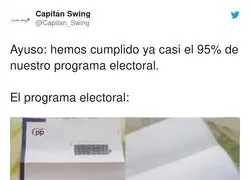 &iquest;Qu&eacute; programa electoral?