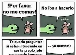 No quiero sufrir m&aacute;s