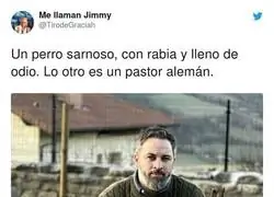 Diferentes tipos de animales