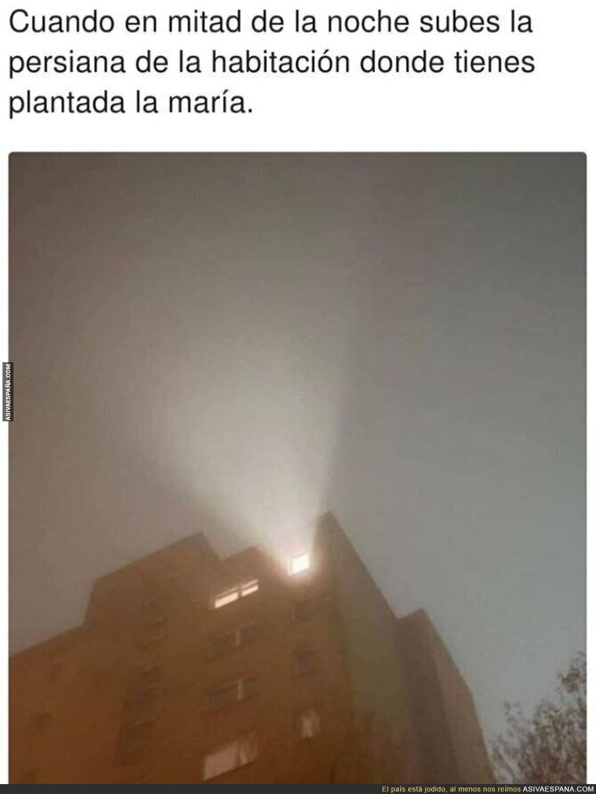Actos que te delatan