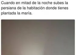 Actos que te delatan
