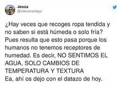 El dato que necesitabas