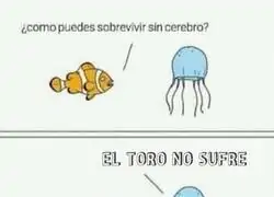 No se encuentra la inteligencia