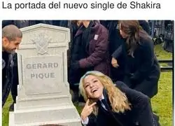 Shakira ya tiene imagen ic&oacute;nica