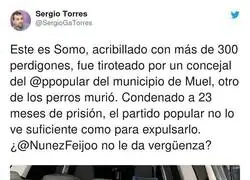 No hay verg&uuml;enza en el PP