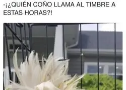 La hora m&aacute;s inoportuna de molestar