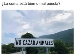 El importante uso de la coma