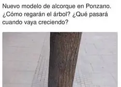 Esto solo pasa en Espa&ntilde;a