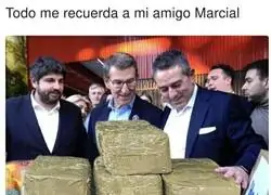 Feij&oacute;o se emociona