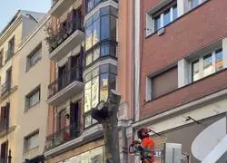 Sigue la matanza de &aacute;rboles y nadie hace nada para pararlo