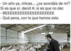 Pablo Casado pas&oacute; al olvido
