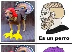 Misterios sin resolver