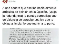 La opini&oacute;n surrealista de esta se&ntilde;ora que no ve bien limpiar la caca de su perro