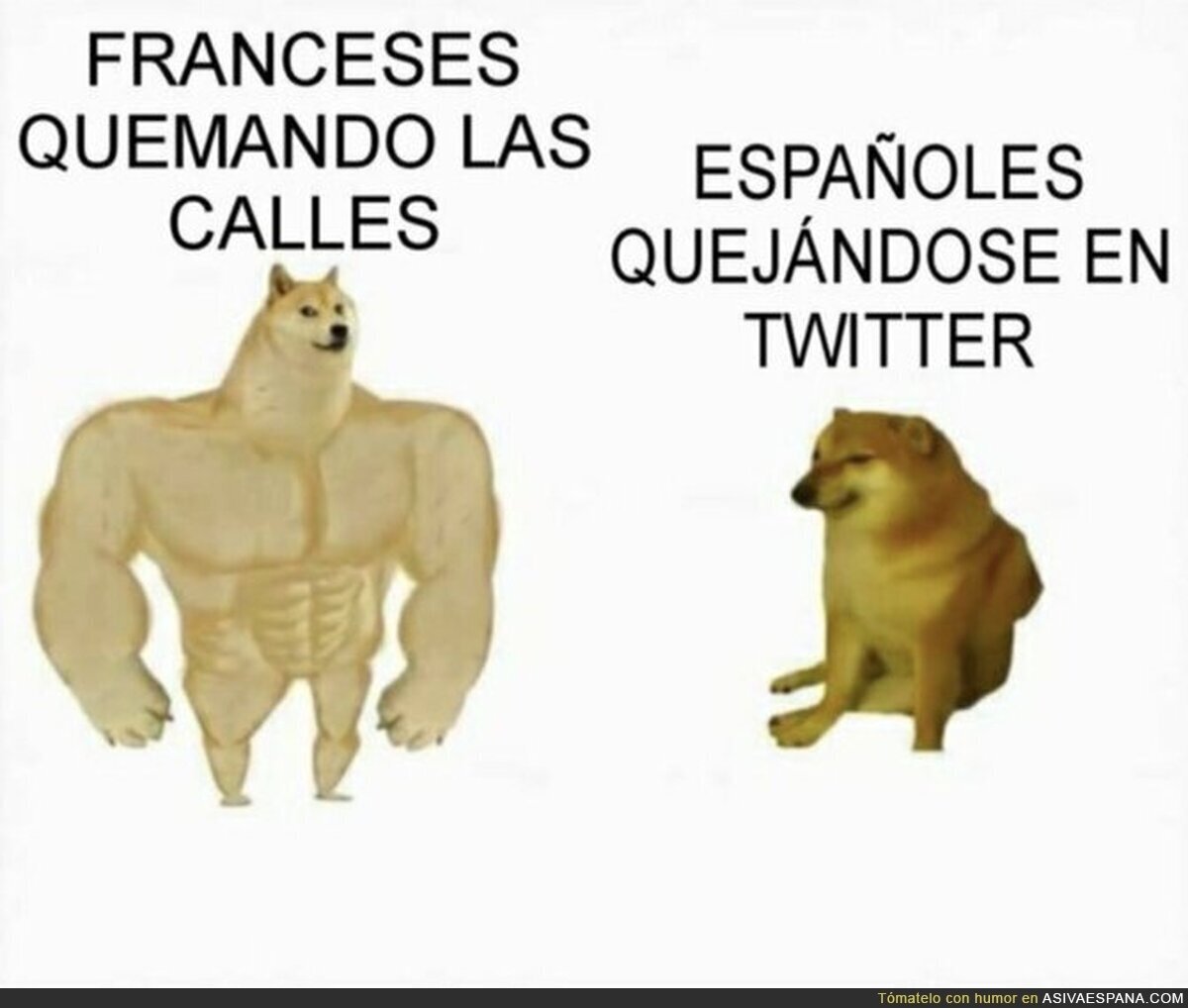 Así funciona la lucha social