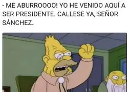 El fiel reflejo de Tamames