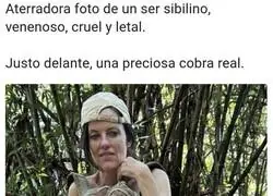 Hay que tener cuidado con esos bichos