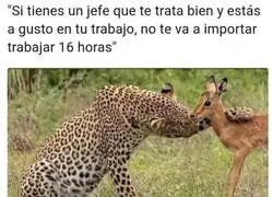 El gran gusto de trabajar 16 horas