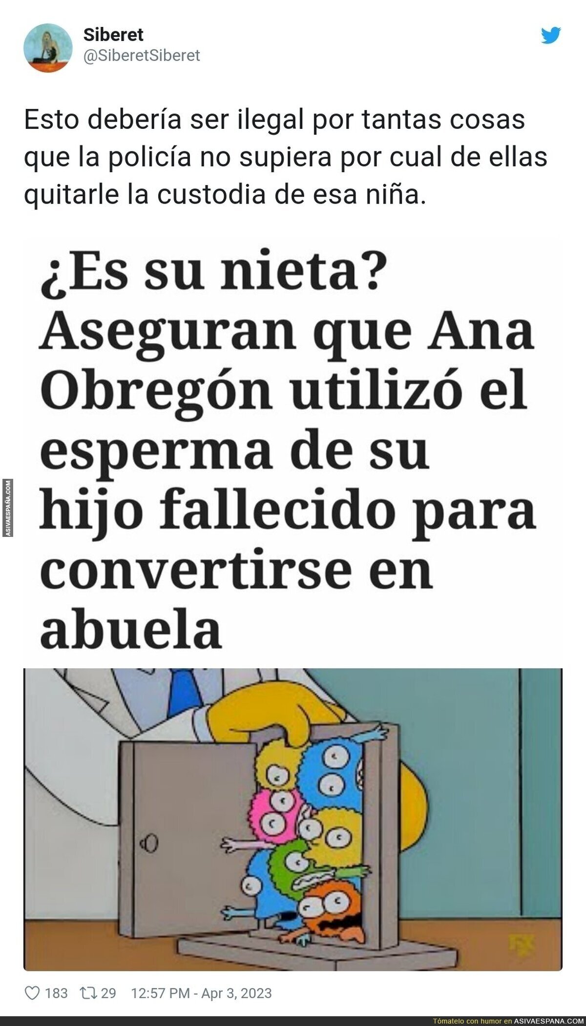 La teoría que sobrevuela sobre el nuevo 'hijo' de Ana Obregón