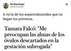 Preocupaciones del primer mundo