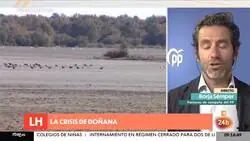 Borja S&eacute;mper, sobre Do&ntilde;ana: "No soy un experto, le&iacute; la propuesta en diagonal".