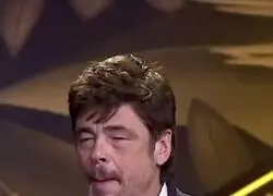 El maravilloso discurso de Benicio del Toro sobre ser latino en Hollywood, las dudas del actor, los estereotipos y buscar humanidad en cada personaje