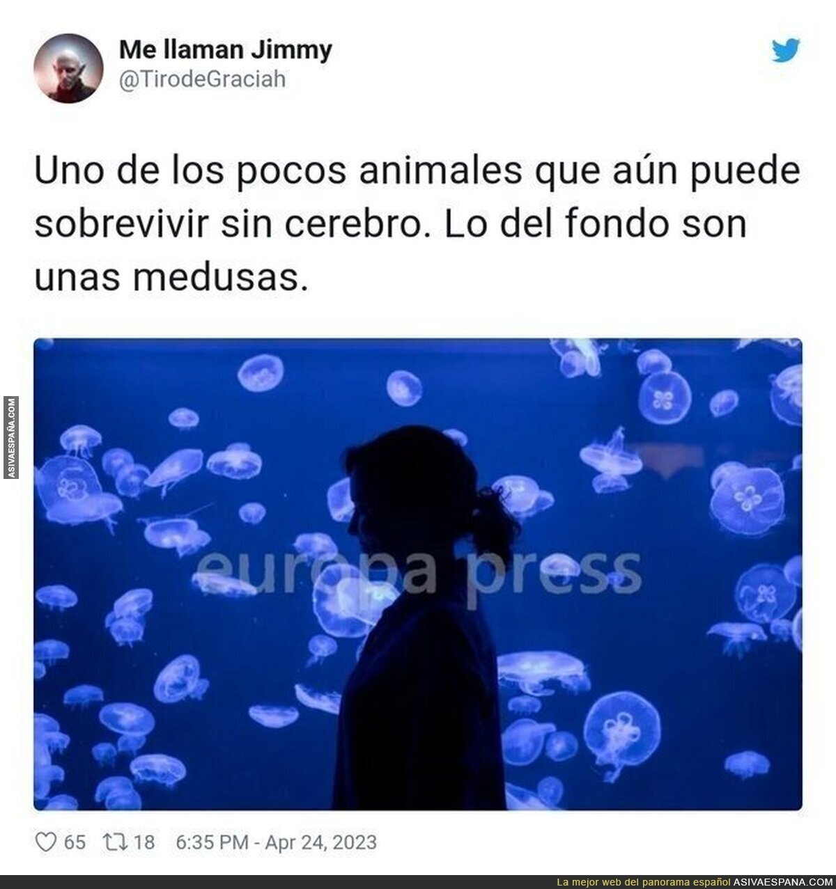Dos tipos de seres vivos