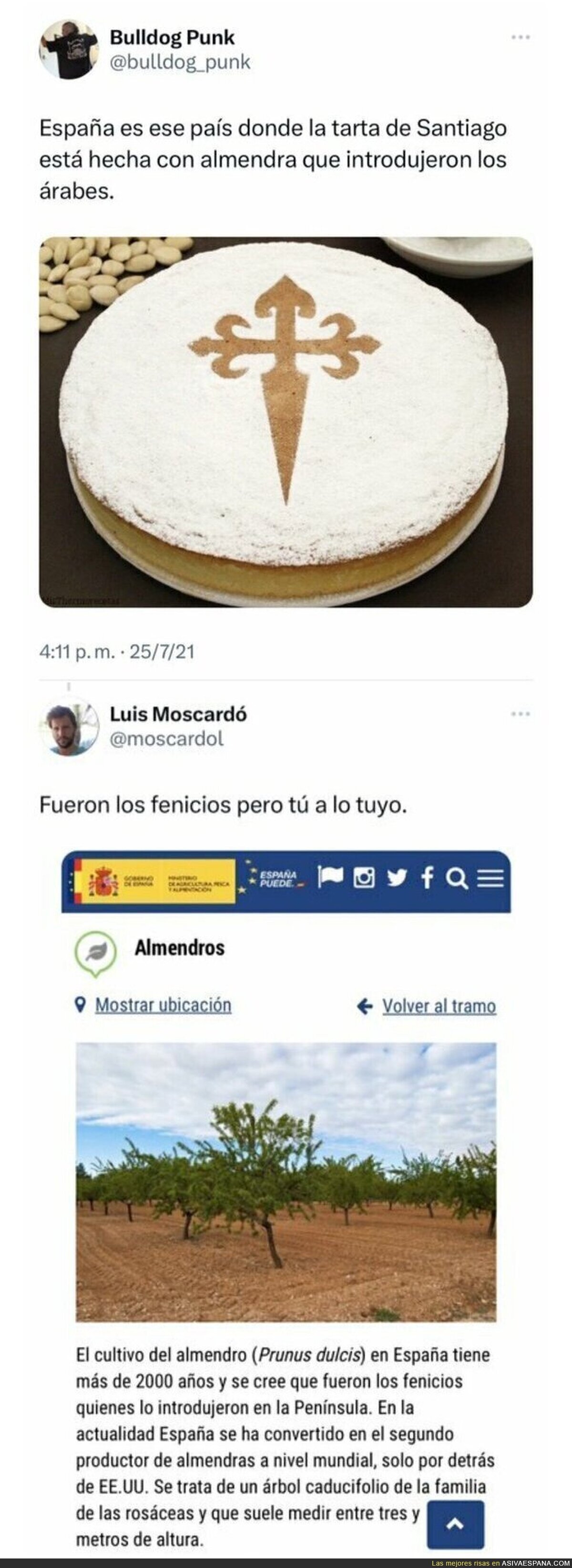 Quedando fatal por la tarta de Santiago