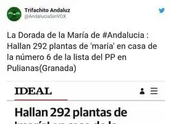 Una m&aacute;s del PP en Andaluc&iacute;a