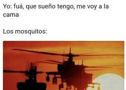 La tortura de cuando llega el calor