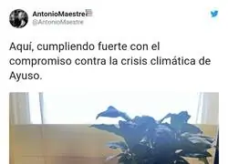 En el balc&oacute;n, la tienes que poner en el balc&oacute;n. A ver si por tu culpa no se van a reducir las emisiones de CO2 en Madrid, por @AntonioMaestre