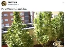 Por un Madrid m&aacute;s ecol&oacute;gico, por @chemapizca