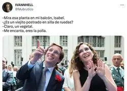 Las plantas en el balc&oacute;n es lo que quiere Ayuso, por @Mubrutico