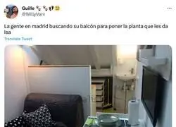 La gente en Madrid buscando su balc&oacute;n para poner la planta que les da Isa, por @WillyVarv