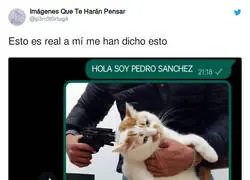100% real no fake