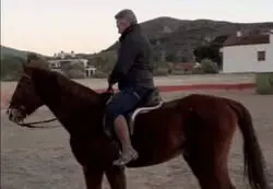 Atenci&oacute;n al nombre que quer&iacute;a ponerle el Conseller de Cultura de la Generalitat Valenciana a su caballo