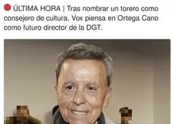 VOX designando puestos