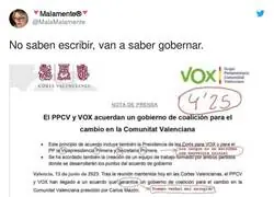 Las faltas de ortograf&iacute;a de VOX