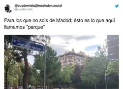 "Alicatar hasta ganar" es el lema del ayuntamiento