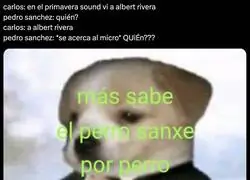 Ese Perro Sanxe sabe mucho