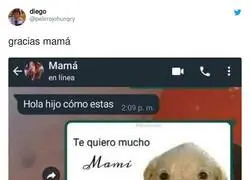 Las madres est&aacute;n en todo