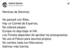 Las mentiras de Pedro S&aacute;nchez
