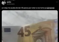 La suerte de votar a VOX