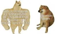 La nueva cara de Feij&oacute;o