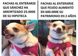 Las diferentes reacciones de la derecha