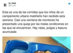 Esta es una de las comidas que los ni&ntilde;os de un campamento urbano madrile&ntilde;o han recibido esta semana. Casi una veintena de monitores ha presentado una queja por las malas condiciones en las que se encuentran. Hay ratas, pulgas y basura acumulada, por @el